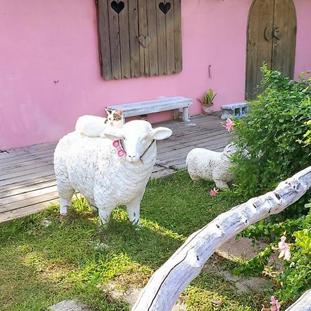 whitiedoggie Villa Cape Eluanbi Esterno foto